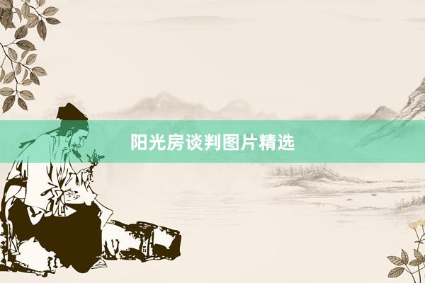 阳光房谈判图片精选